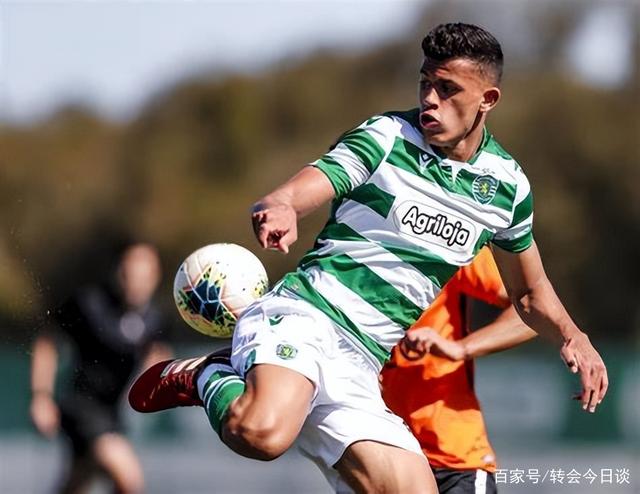 转会期深圳男篮调整名单以备葡超，临场应变环节打磨，底气十足，资深球员宣示担当的简单介绍